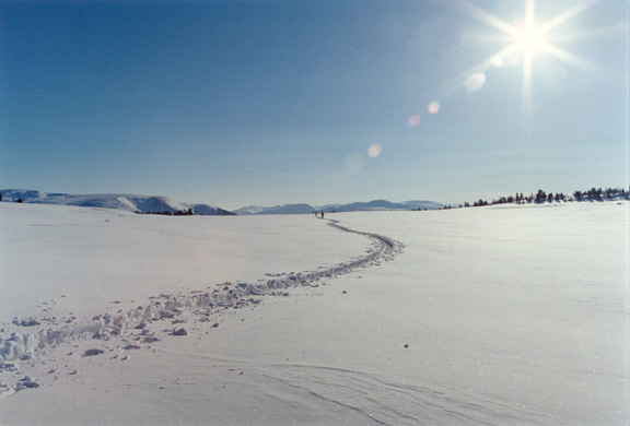 Лыжня через озеро Патовое